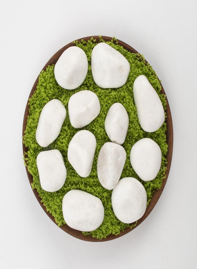 LOOIOOJ 10 أرطال من صخور النهر البيضاء، حصى مصقولة للنباتات والحدائق، أحجار زخرفية من 1 إلى 2 بوصة، مثالية لأحواض الأسماك والمزهريات والأعمال الحرفية وتنسيق الحدائق (الوزن: 10 أرطال، أبيض نقي) - Image 3